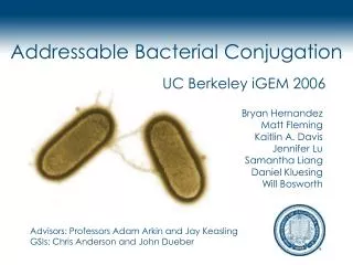 Addressable Bacterial Conjugation