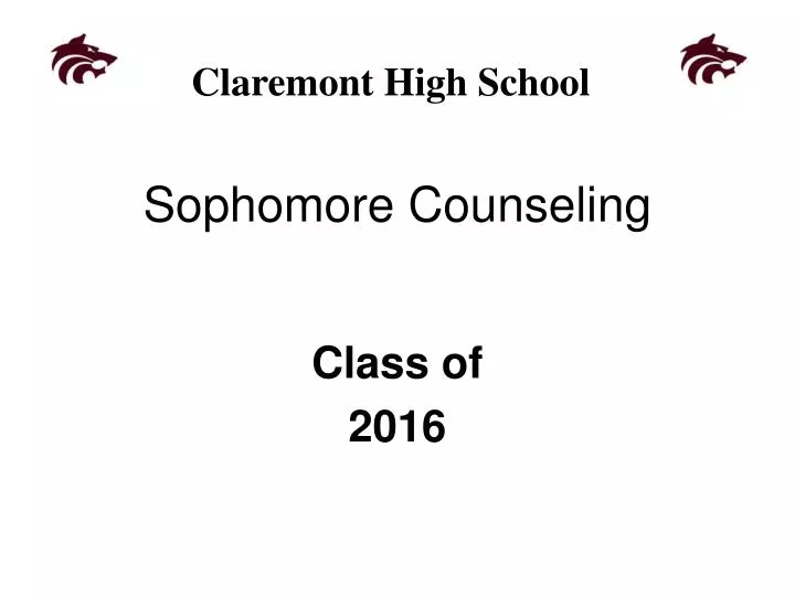 sophomore counseling