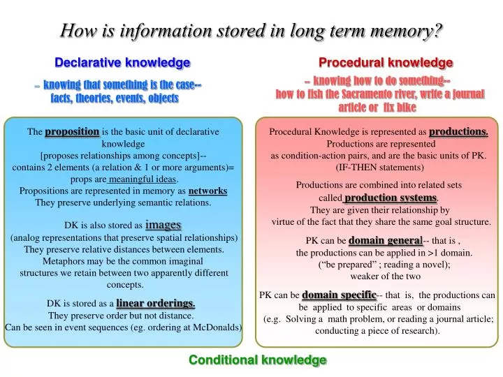 how is information stored in long term memory