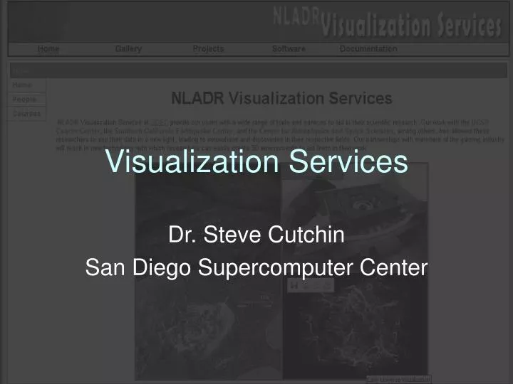 visualization services