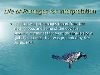 Life of Pi images for interpretation