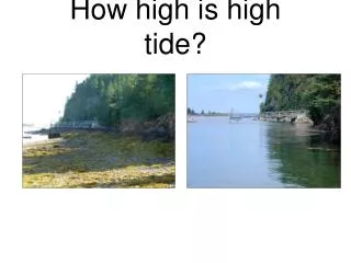How high is high tide?