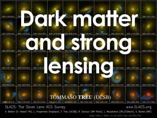 Dark matter and strong lensing