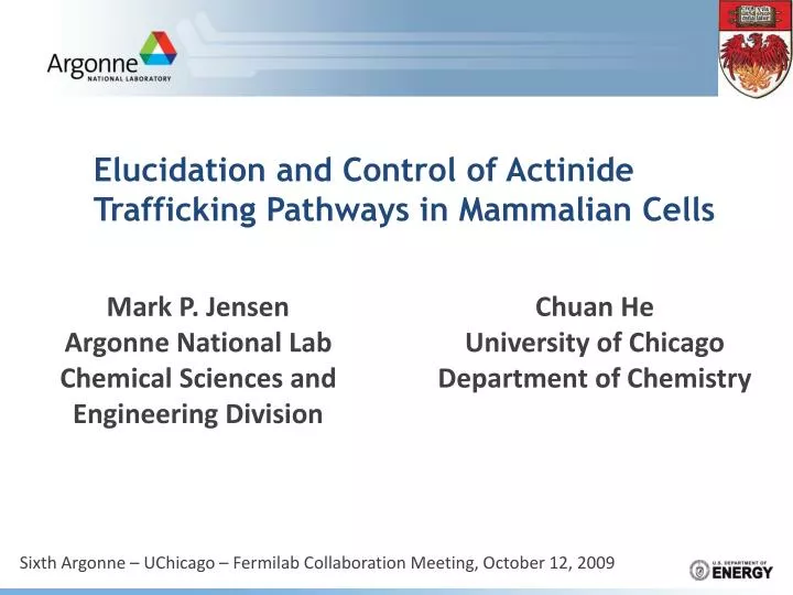 elucidation and control of actinide trafficking pathways in mammalian cells