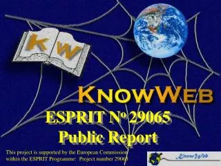 ESPRIT N o 29065 Public Report