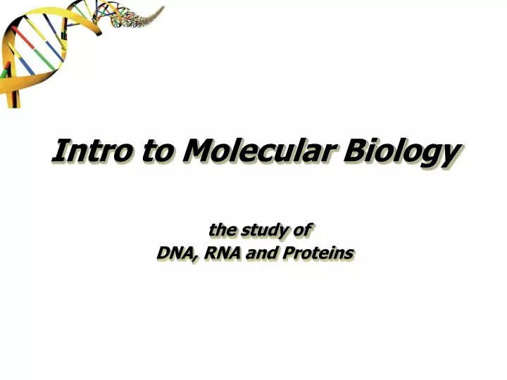 intro to molecular biology the study of dna rna and proteins