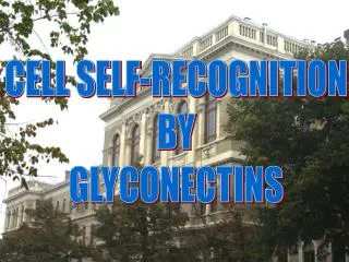 CELL SELF-RECOGNITION BY GLYCONECTINS