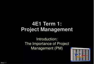 4E1 Term 1: Project Management