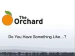 Do You Have Something Like…? - slide 1