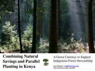 Combining Natural Savings and Parallel Planting in Kenya