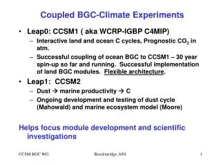 Coupled BGC-Climate Experiments