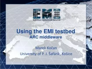 Using the EMI testbed ARC middleware