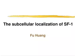 The subcellular localization of SF-1