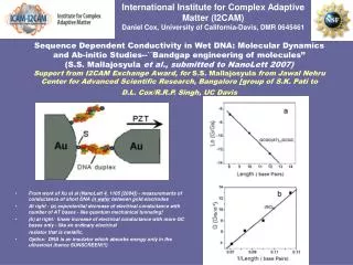 International Institute for Complex Adaptive Matter (I2CAM)