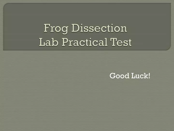 frog dissection lab practical test