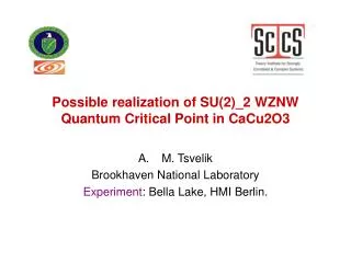 Possible realization of SU(2)_2 WZNW Quantum Critical Point in CaCu2O3