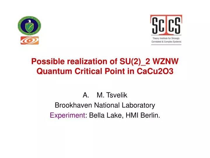 possible realization of su 2 2 wznw quantum critical point in cacu2o3