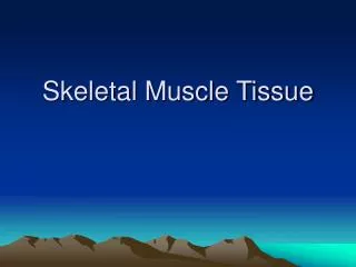 Skeletal Muscle Tissue