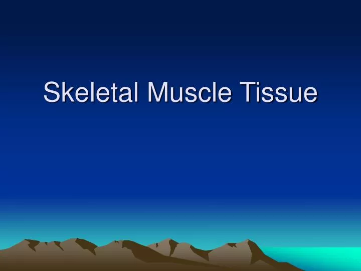 skeletal muscle tissue