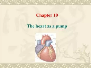Chapter 10 The heart as a pump