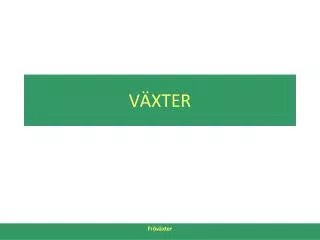 v xter