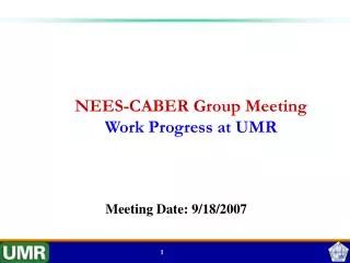 NEES-CABER Group Meeting Work Progress at UMR