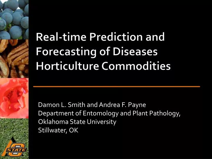 real time prediction and forecasting of diseases horticulture commodities