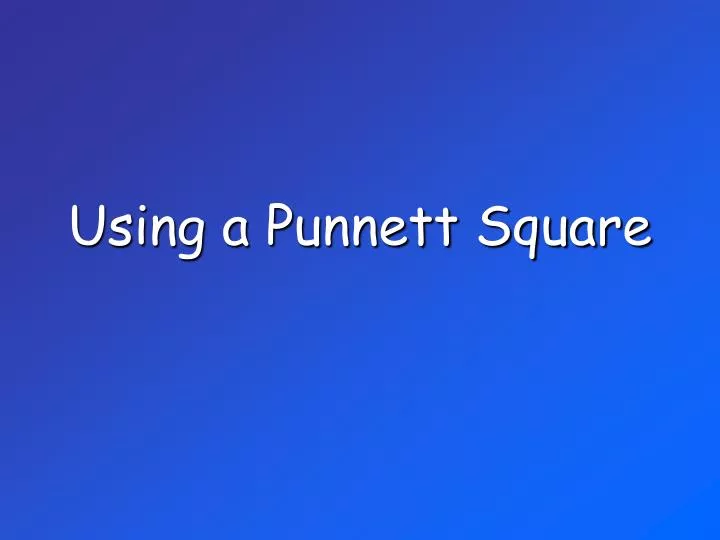 using a punnett square