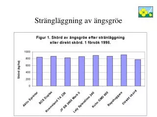 str ngl ggning av ngsgr e