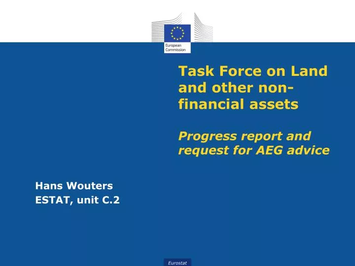 task force on land and other non financial assets progress report and request for aeg advice