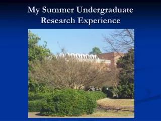 My Summer Undergraduate Research Experience