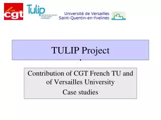 TULIP Project