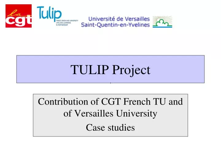 tulip project