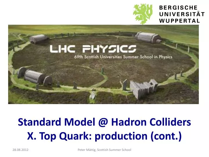 standard model @ hadron colliders x top quark production cont