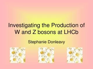 Investigating the Production of W and Z bosons at LHCb