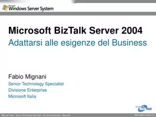 microsoft biztalk server 2004