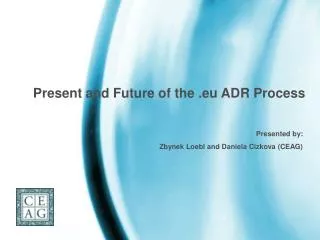 Present and Future of the .eu ADR Process