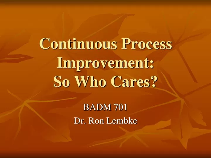 continuous process improvement so who cares