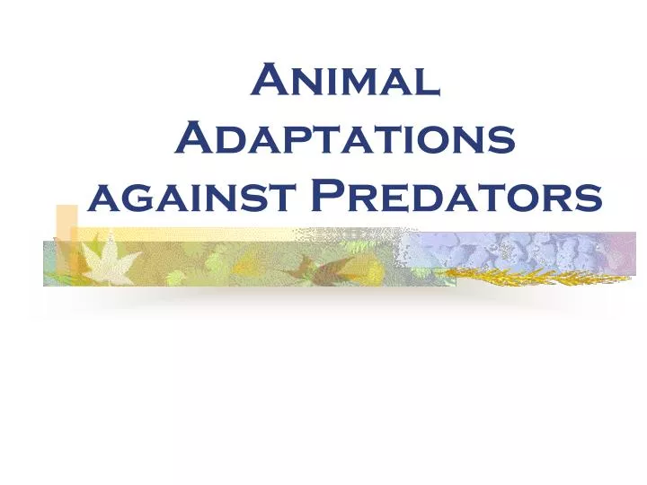 animal adaptations against predators