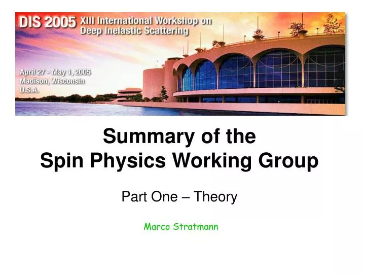summary of the spin physics working group