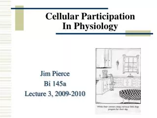 Cellular Participation In Physiology