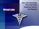 Virtual Labs - slide 1