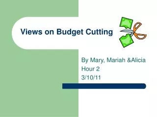 Views on Budget Cutting