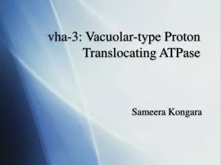vha-3: Vacuolar-type Proton Translocating ATPase