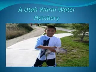 A Utah Warm Water Hatchery