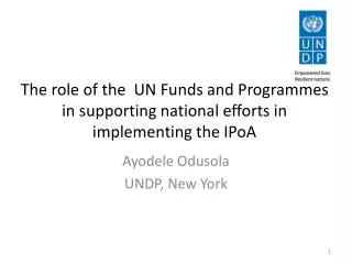 The role of the UN Funds and Programmes in supporting national efforts in implementing the IPoA