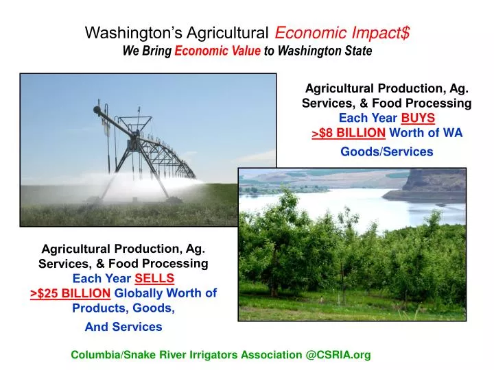 washington s agricultural economic impact we bring economic value to washington state