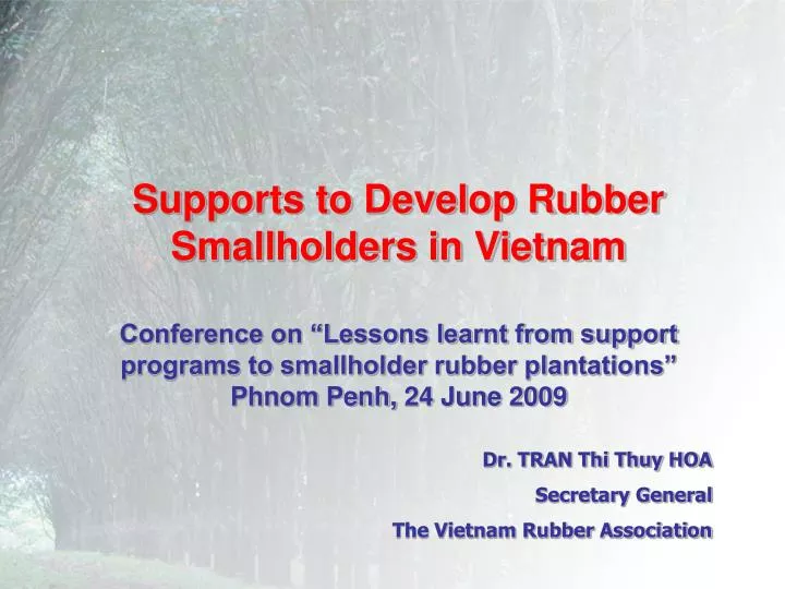 supports to develop rubber smallholders in vietnam