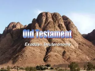Exodus - Deuteronomy