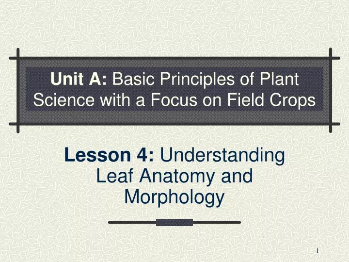 unit a basic principles of plant science with a focus on field crops